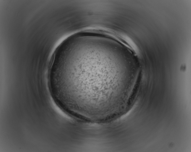 X0000094951100200712131617