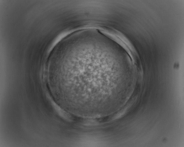 X0000094951101200712131617