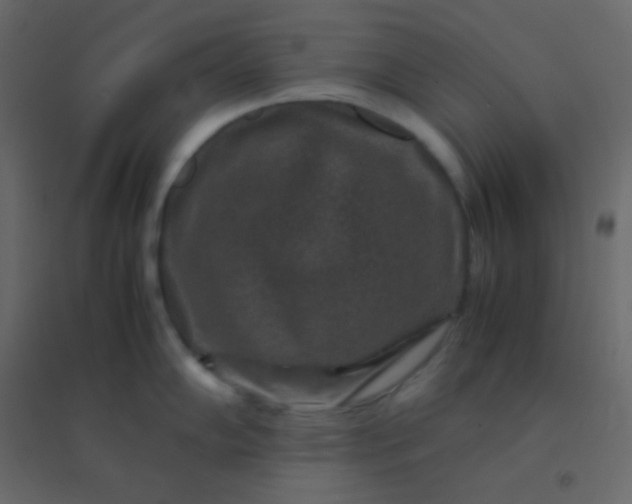 X0000094951102200712131617