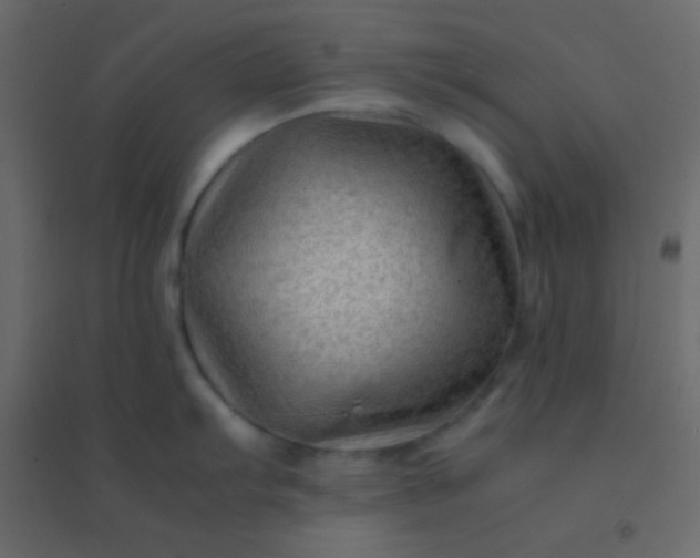 X0000094951103200712131617