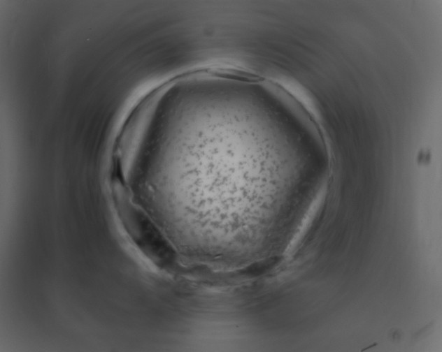 X0000094951104200712131617