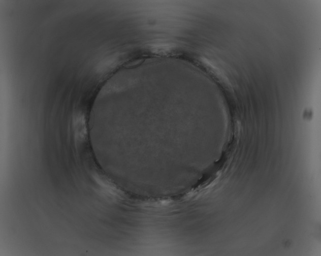 X0000094951106200712131616