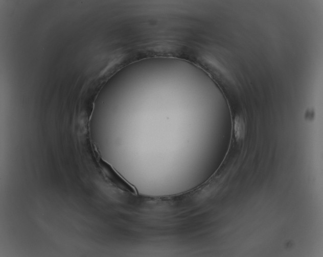 X0000094951107200712131616