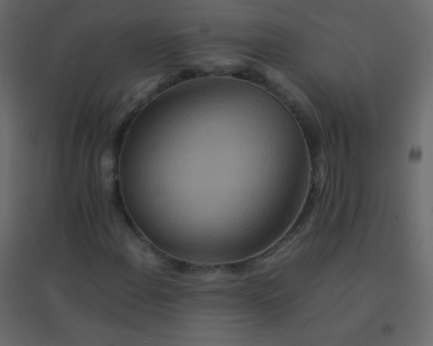 X0000094951108200712131616