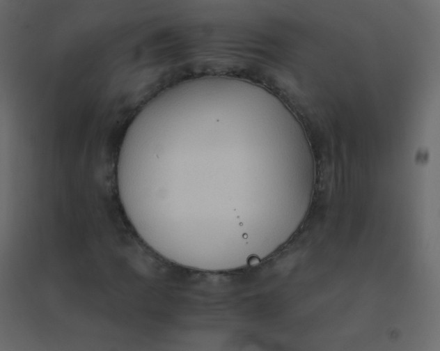 X0000094951109200712131616