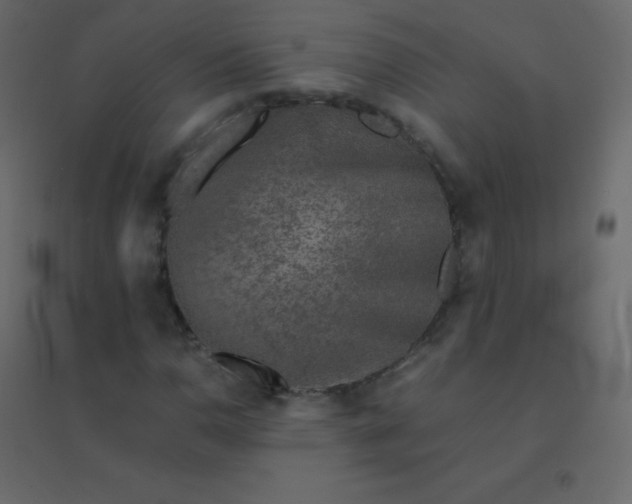 X0000094951110200712131616