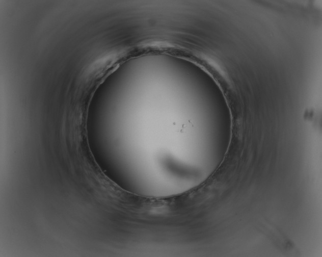 X0000094951111200712131616