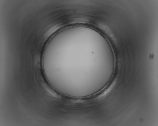 X0000094951113200712131616