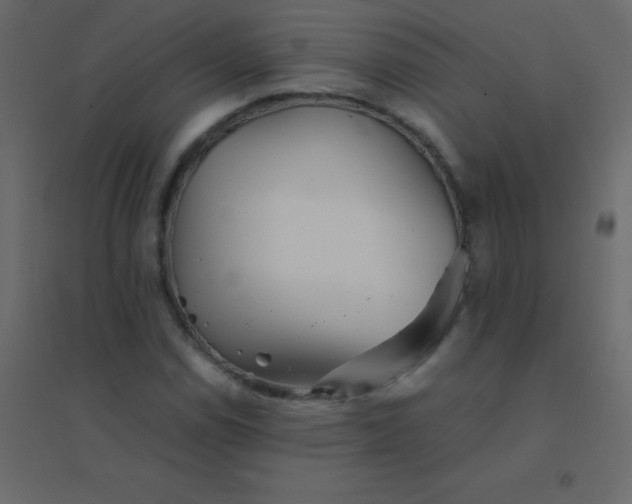 X0000094951114200712131616