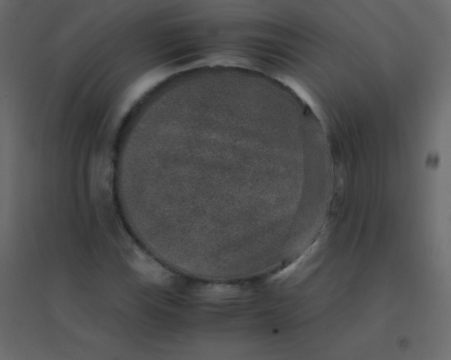 X0000094951115200712131616