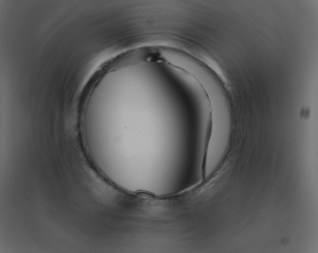 X0000094951116200712131616