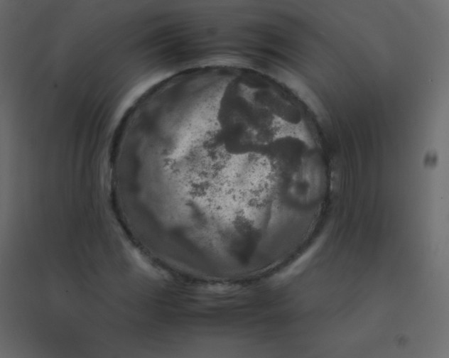 X0000094951117200712131616