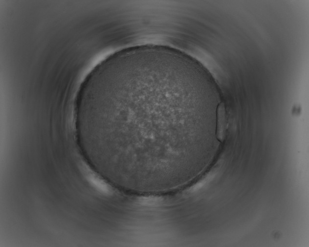 X0000094951118200712131616