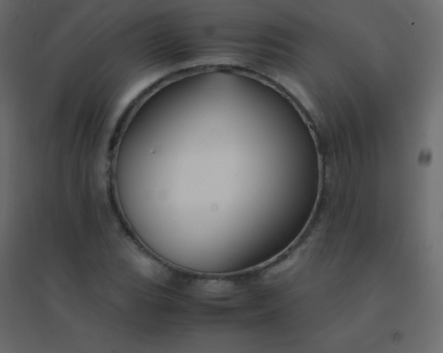 X0000094951119200712131616