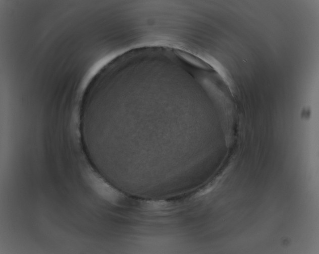 X0000094951120200712131616