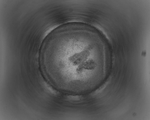 X0000094951121200712131616