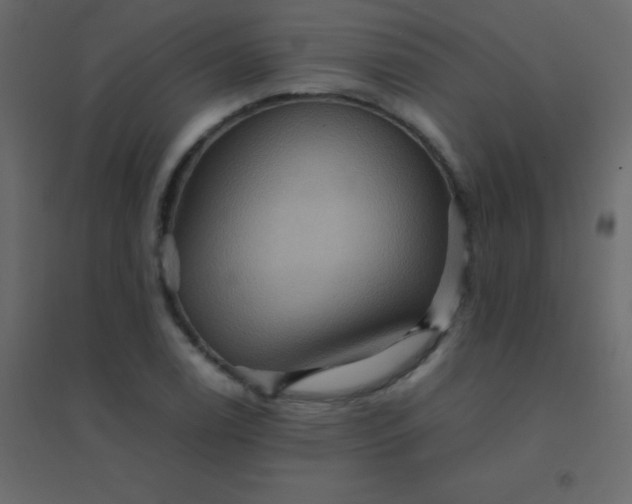 X0000094951122200712131616