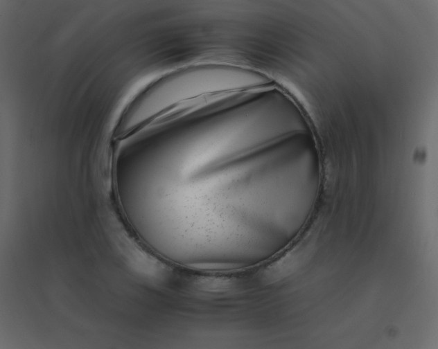 X0000094951123200712131616