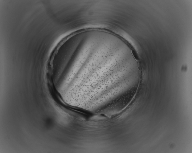 X0000094951124200712131616