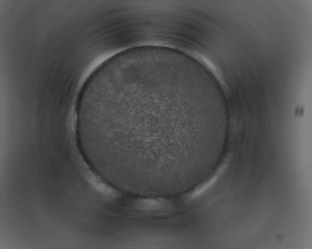 X0000094951125200712131616