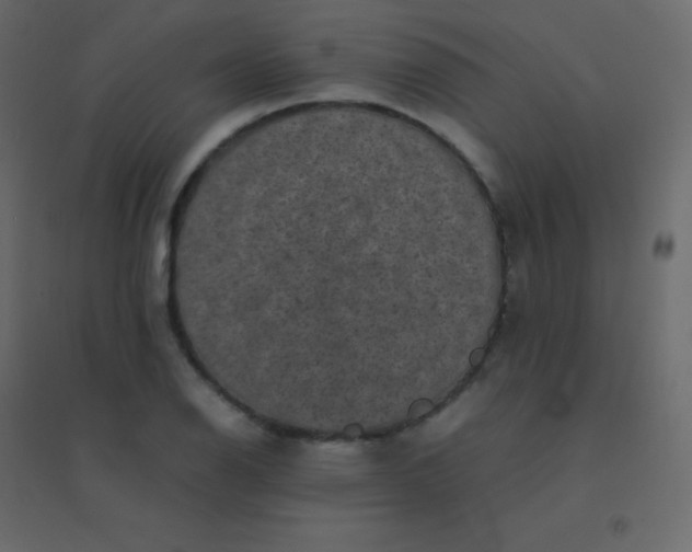 X0000094951126200712131616