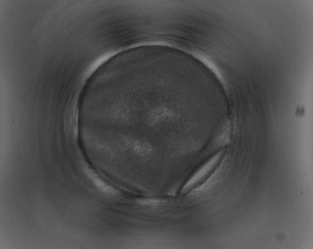 X0000094951127200712131616