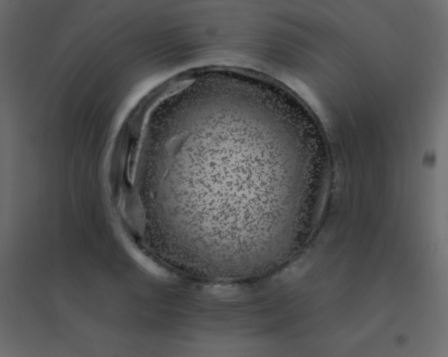 X0000094951128200712131616