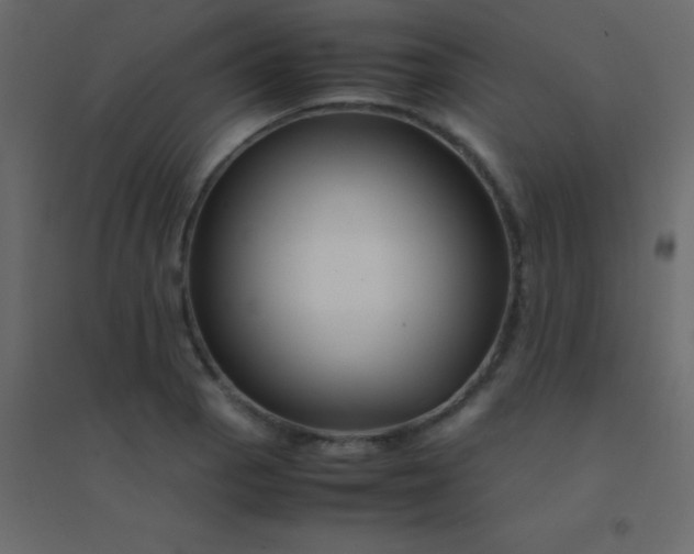 X0000094951129200712131616