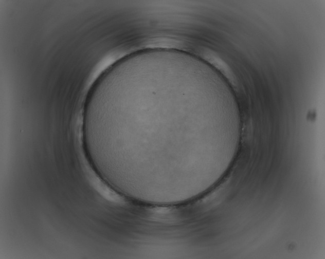 X0000094951130200712131616