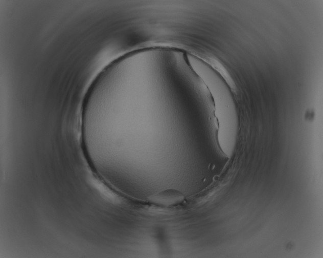 X0000094951132200712131616