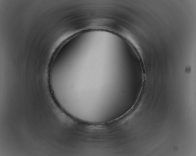 X0000094951133200712131616