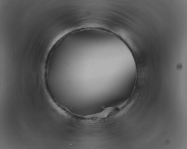 X0000094951134200712131616