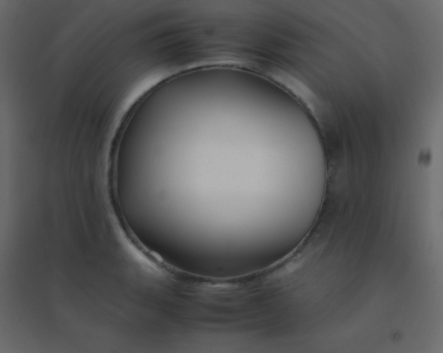 X0000094951135200712131616