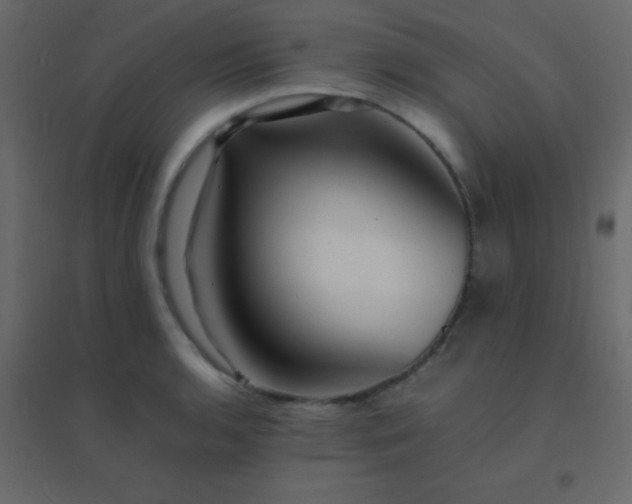 X0000094951136200712131616