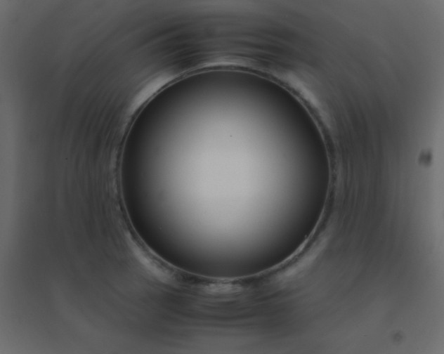 X0000094951137200712131616