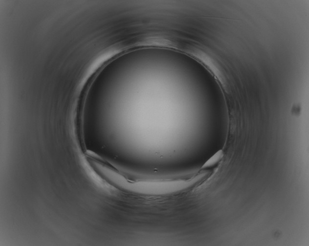 X0000094951139200712131616