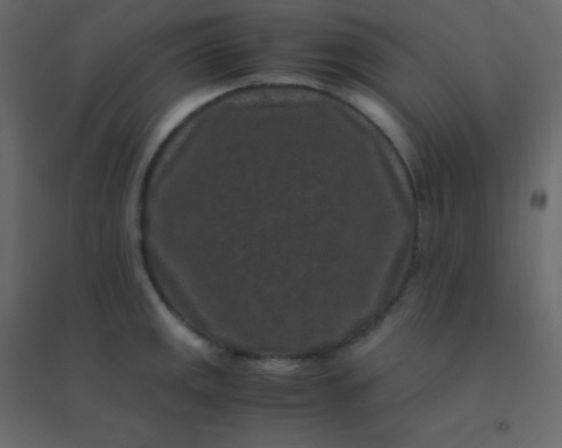 X0000094951141200712131616