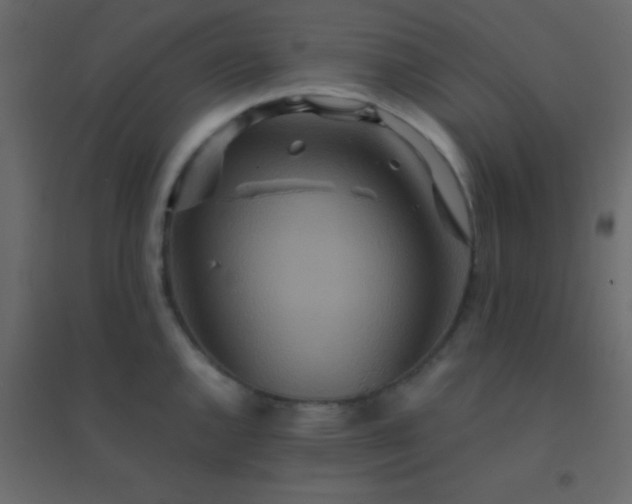 X0000094951144200712131616