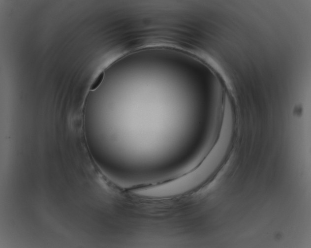 X0000094951145200712131616