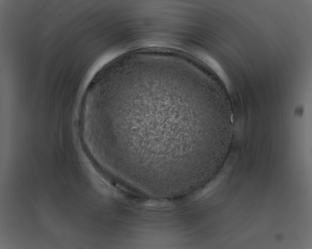 X0000094951146200712131617