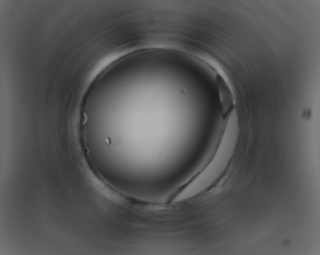 X0000094951147200712131617