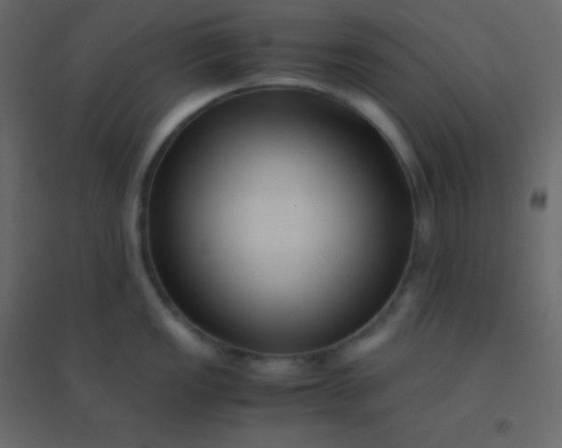 X0000094951149200712131617