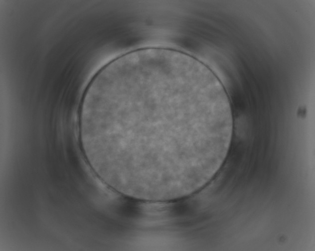 X0000094951150200712131617