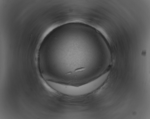 X0000094951151200712131617