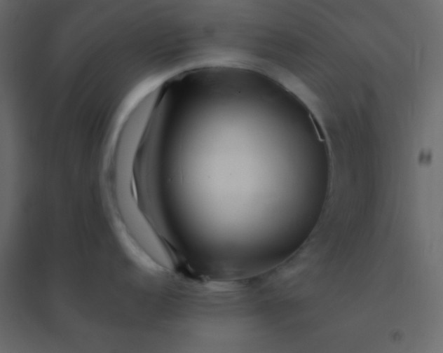 X0000094951152200712131617