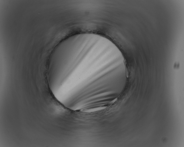 X0000094951153200712131616