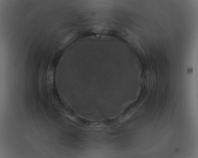 X0000094951154200712131616