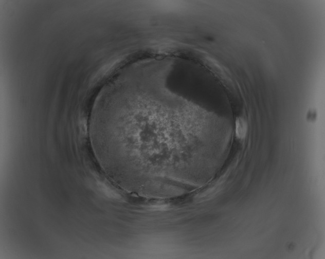 X0000094951155200712131616