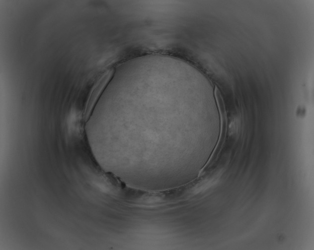 X0000094951156200712131616