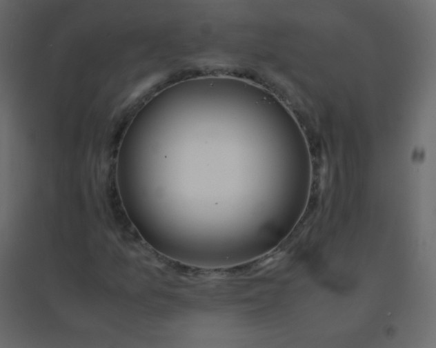 X0000094951157200712131616